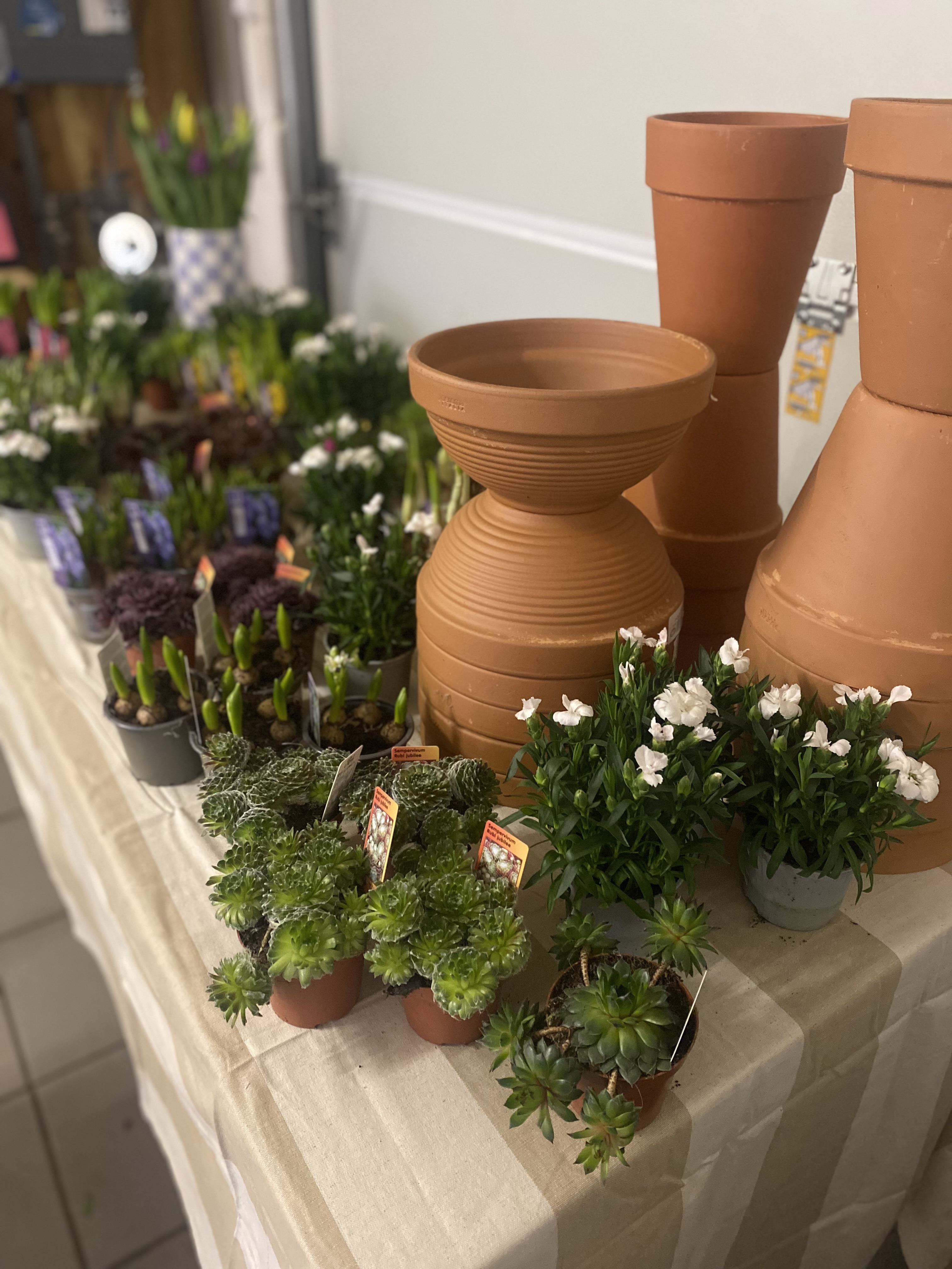 🦋 Vlinderparadijs Workshop – Kinderfeestje - Foto