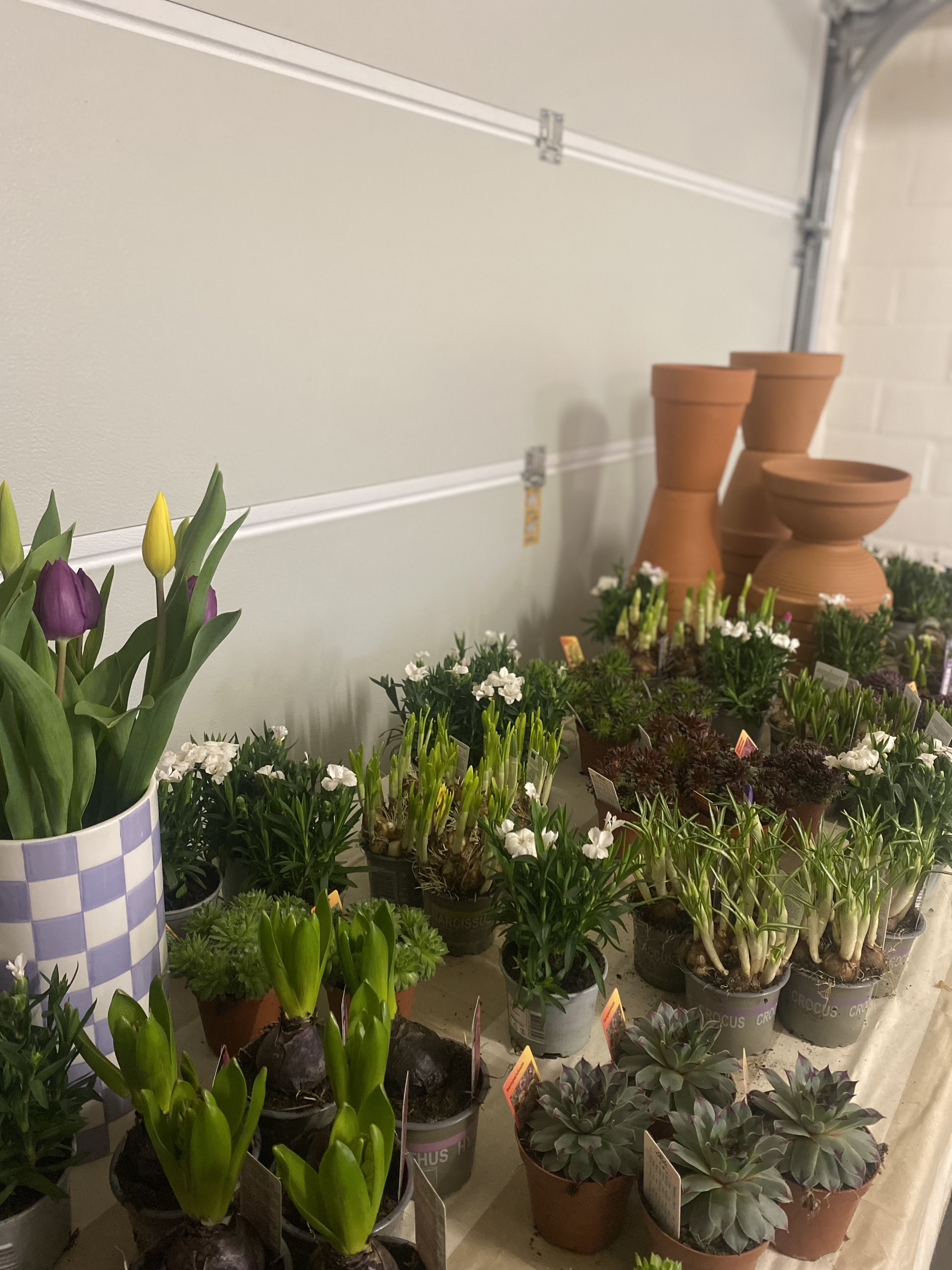 🦋 Vlinderparadijs Workshop – Kinderfeestje - Foto