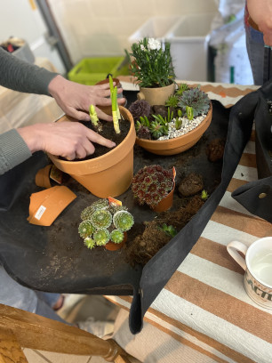 Vlinderbuffet creëeren 🦋🐝