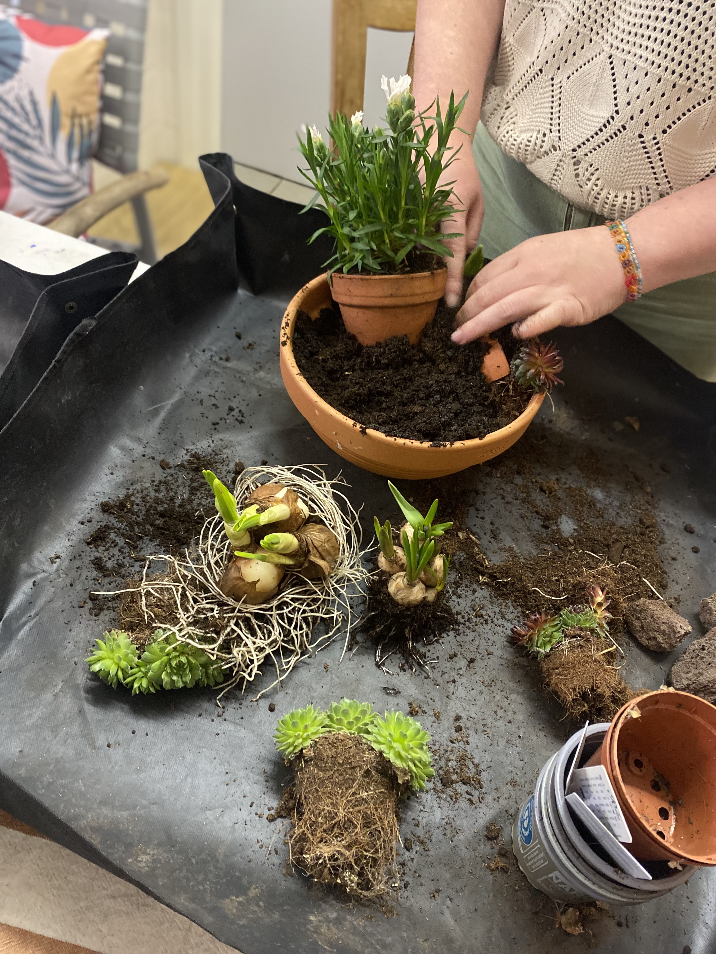 Vlinderbuffet creëeren 🦋🐝 - Foto