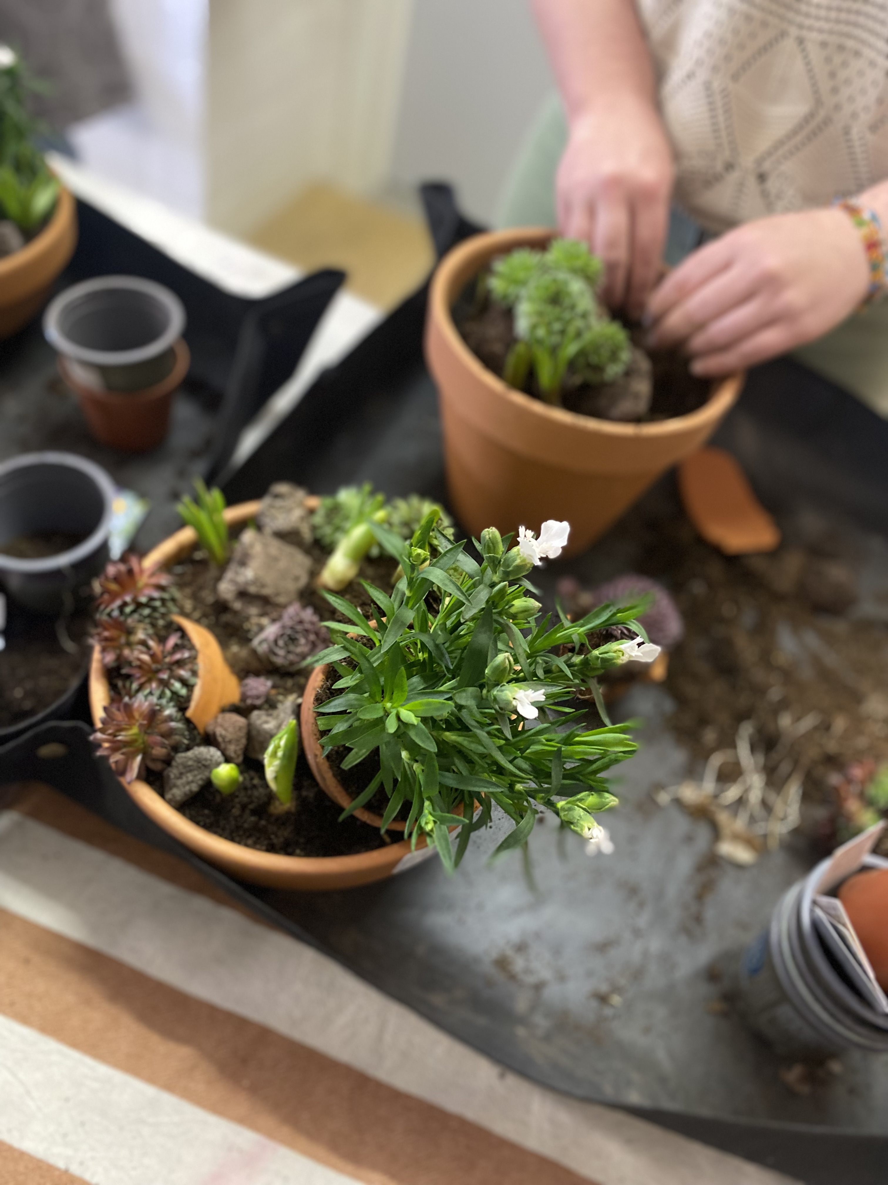 Vlinderbuffet creëeren 🦋🐝 - Foto