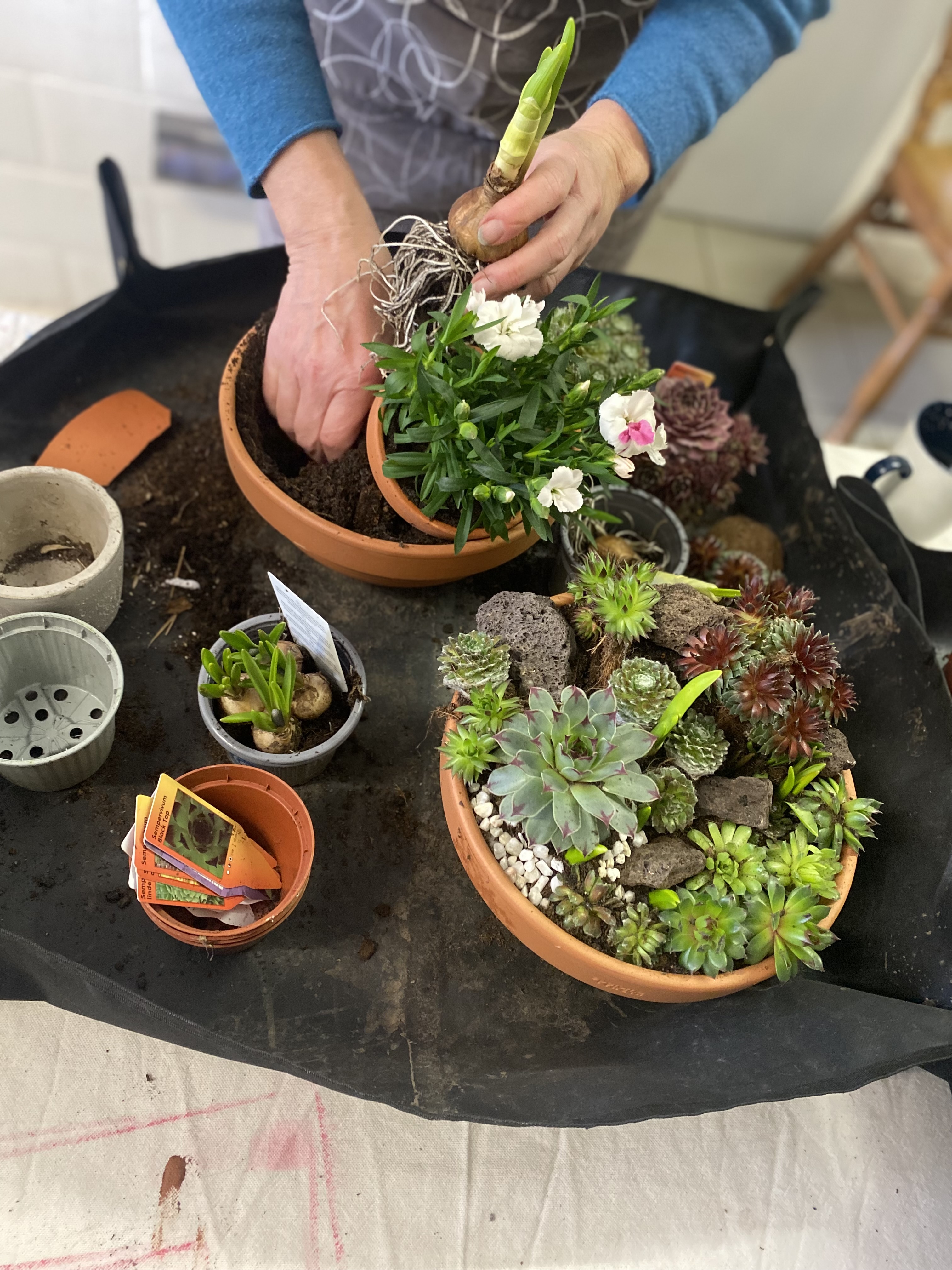 Vlinderbuffet creëeren 🦋🐝 - Foto