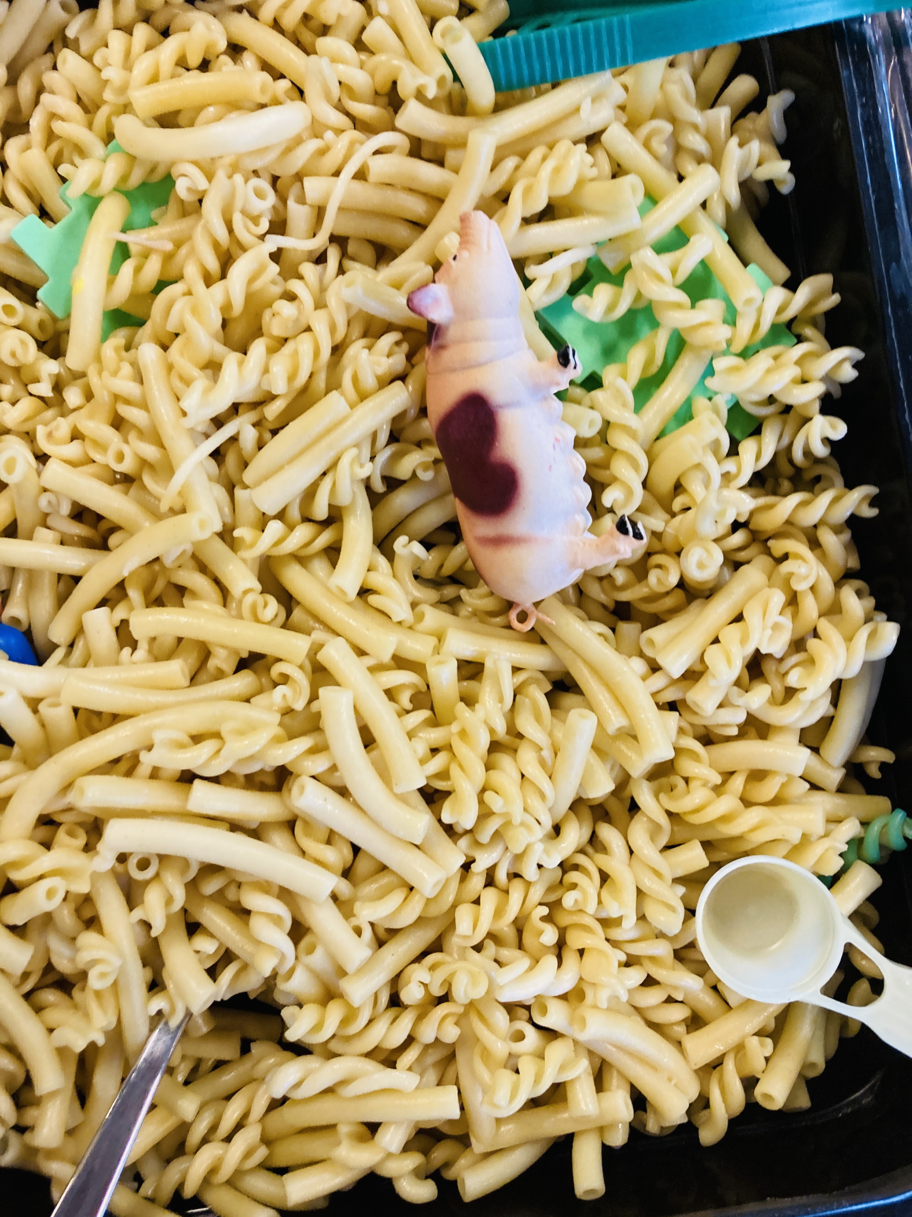 De creatieve boerderij - Foto