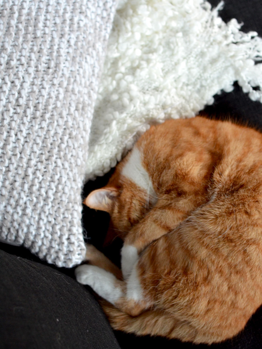 cozy kussen breien - diy kit - Foto