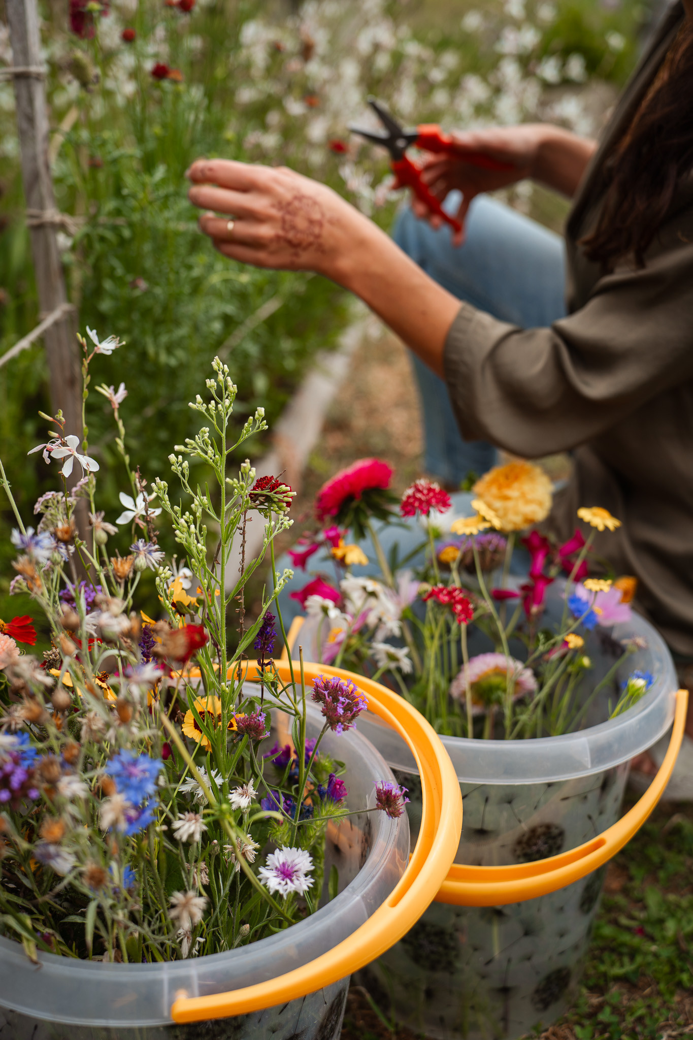 Workshop Pluk je veldboeket voor vrijgezellen - Foto
