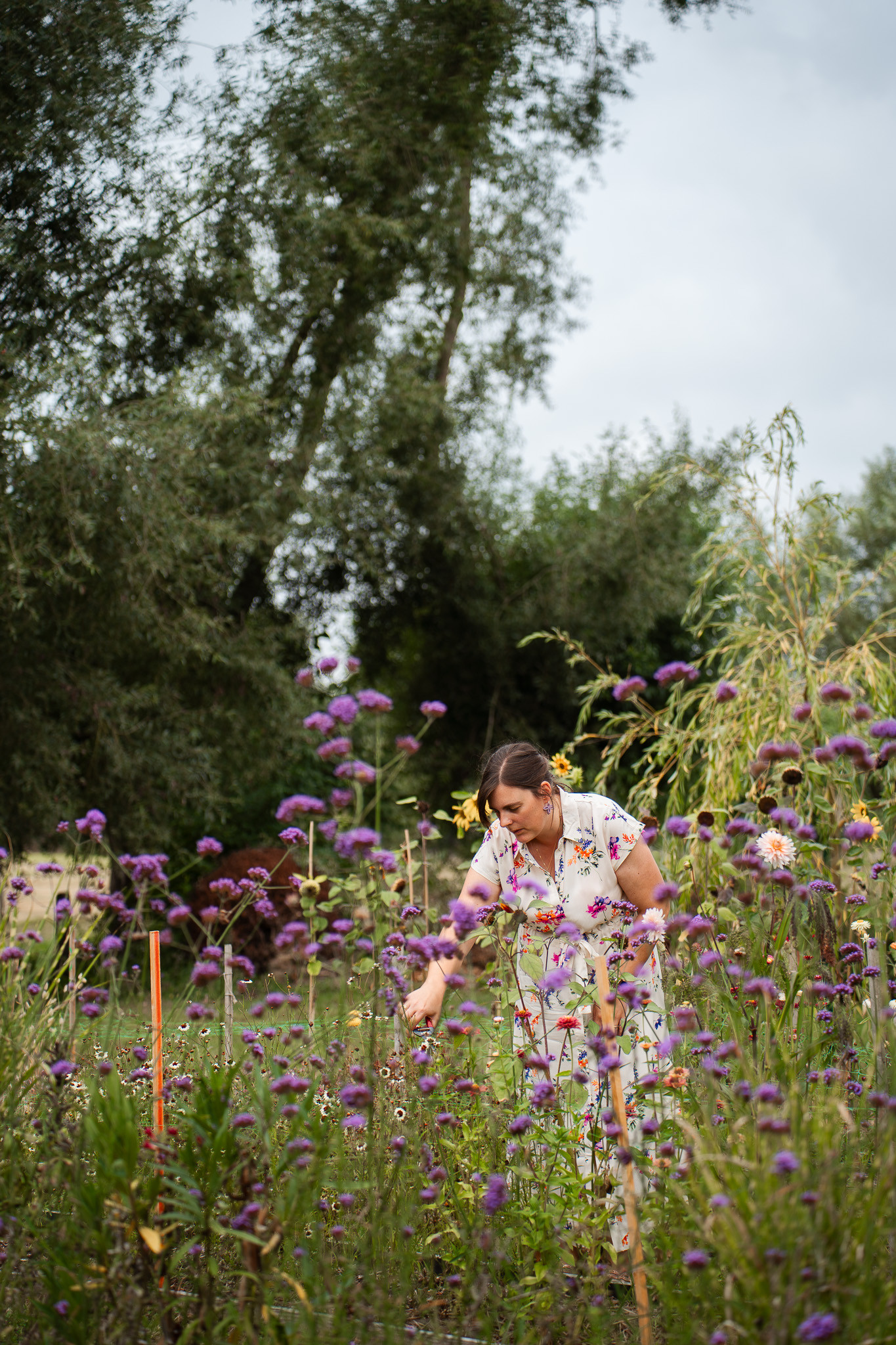 Workshop Pluk je veldboeket voor vrijgezellen - Foto