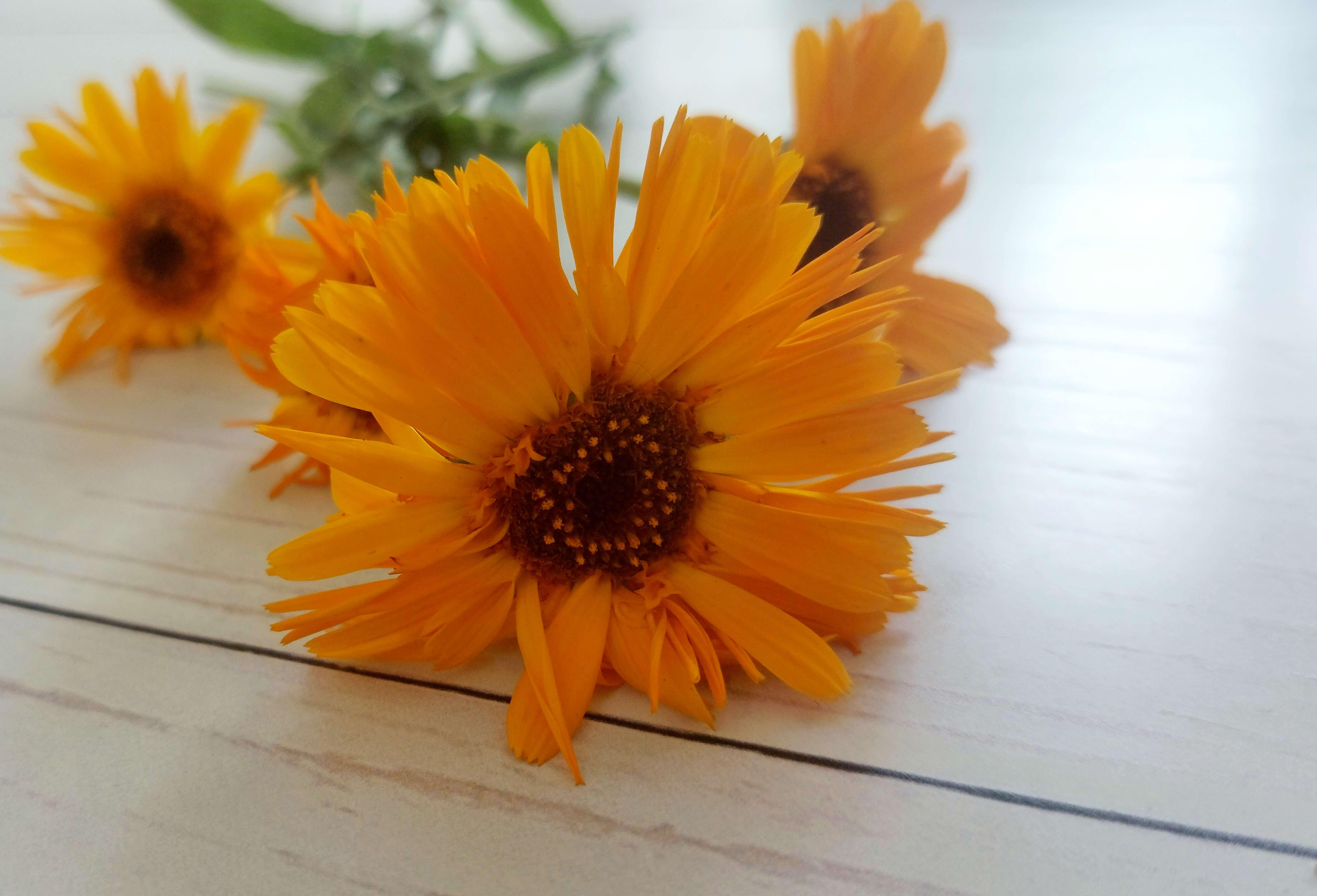 Blossom hand cream - Foto