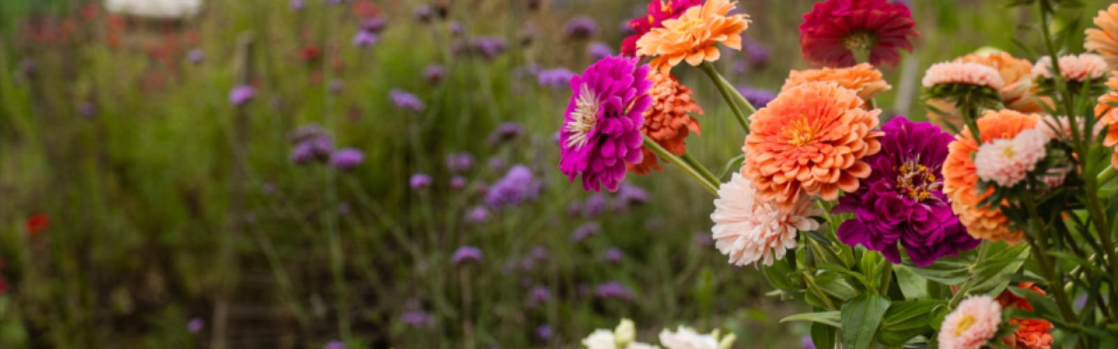 Galentine's day workshops - Bloemen en droogbloemen workshops