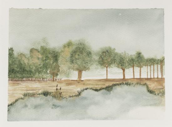 Bomen in Aquarel workshop