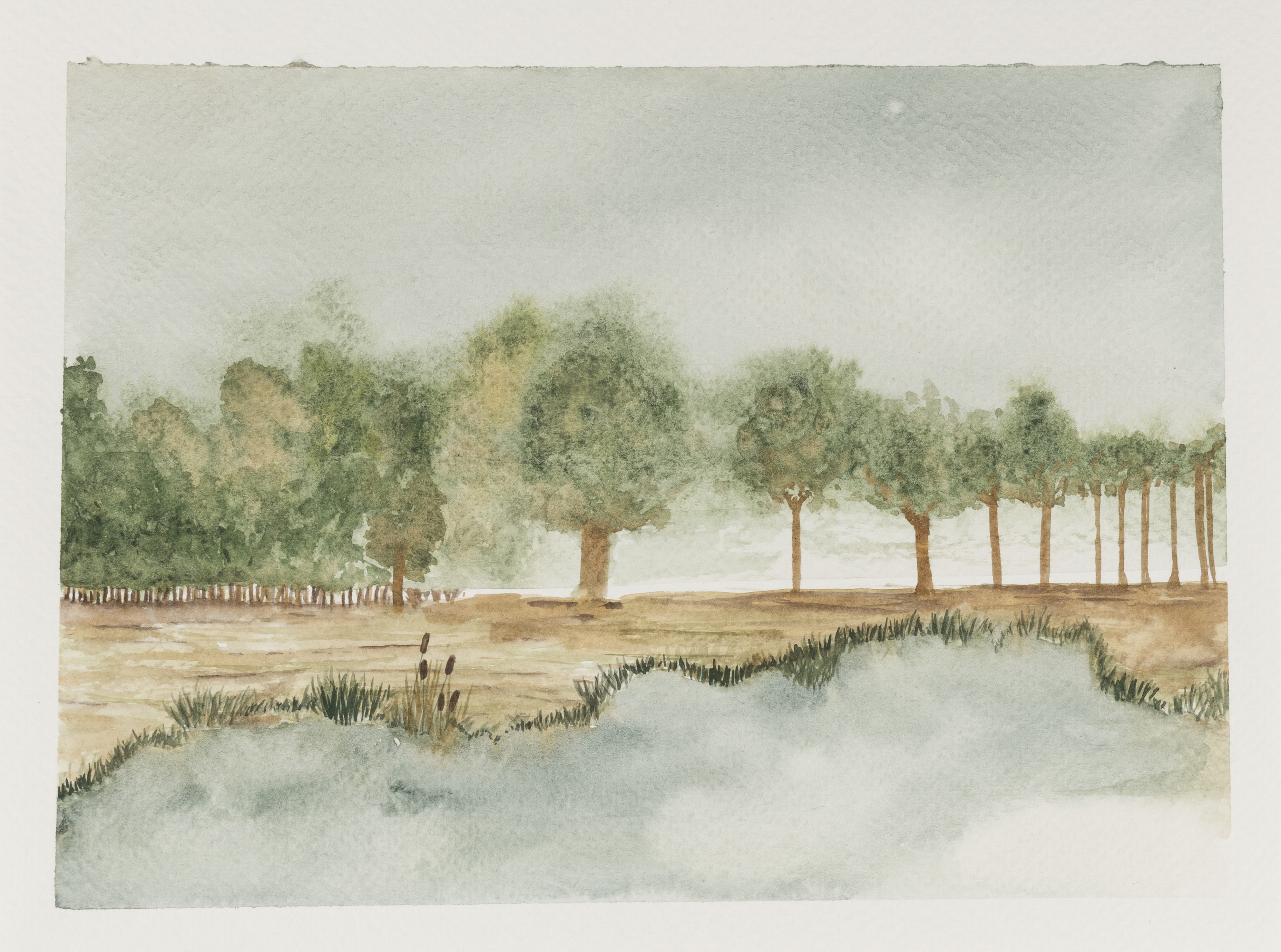 Bomen in Aquarel workshop