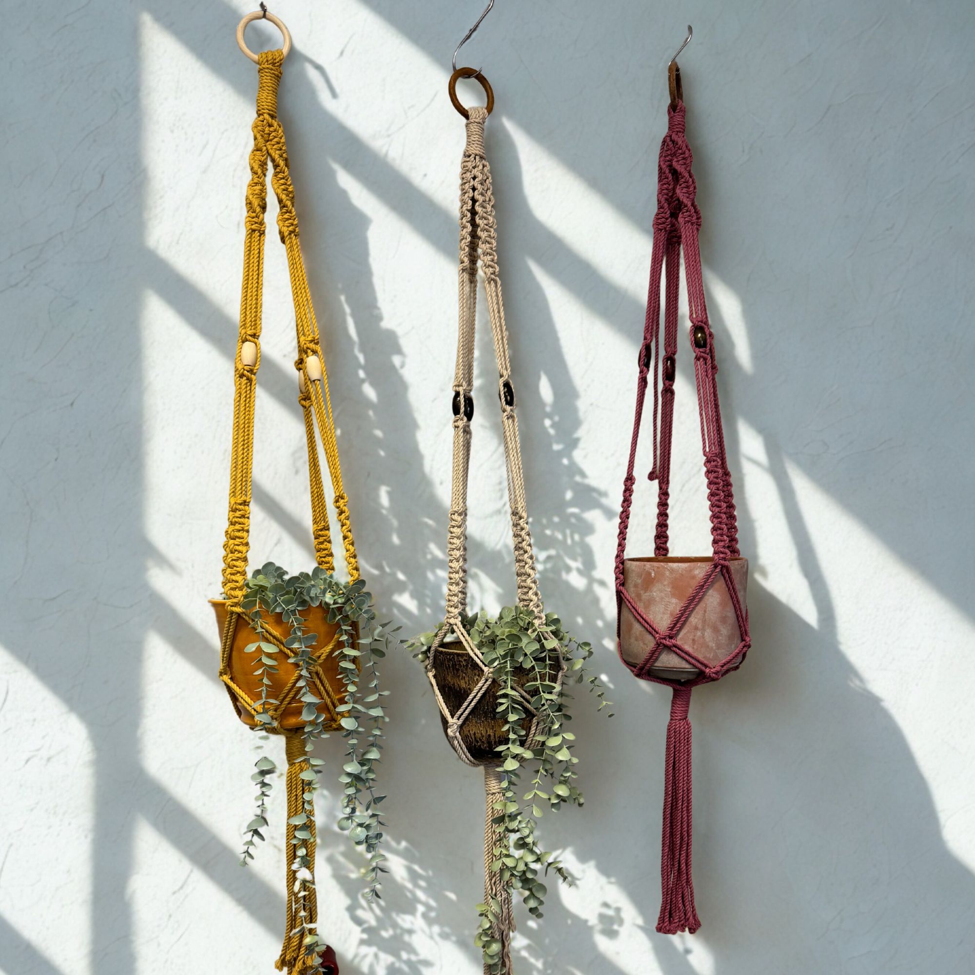 Workshop Macramé Levensboom of plantenhanger