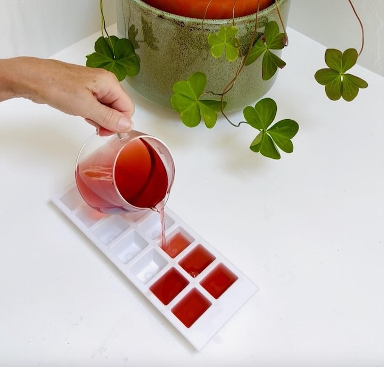 🍋 WORKSHOP — Healthy Lemonades - Foto