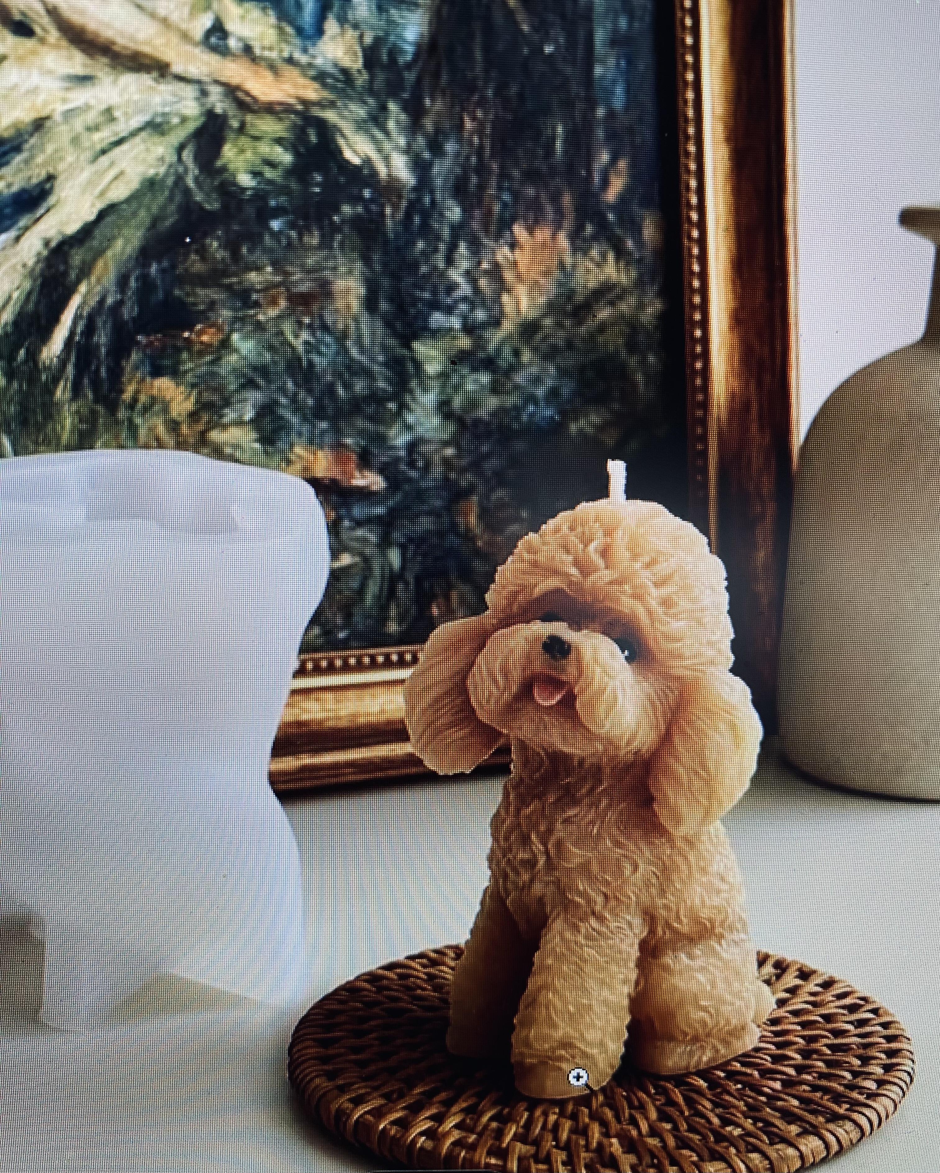 🐾 Workshop: Maak je Hond of Kat in een Kaars 🕯️ - Foto