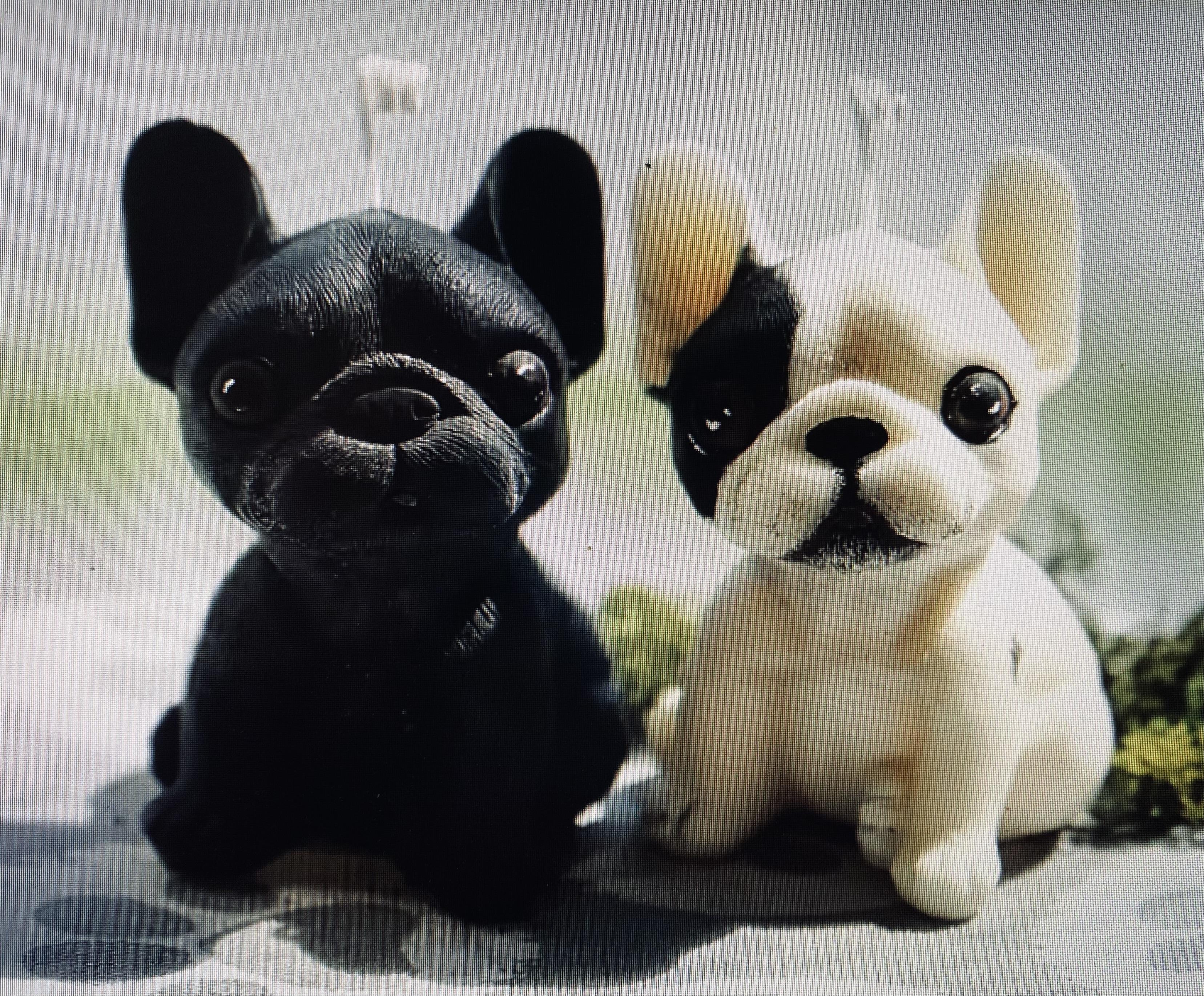 🐾 Workshop: Maak je Hond of Kat in een Kaars 🕯️ - Foto