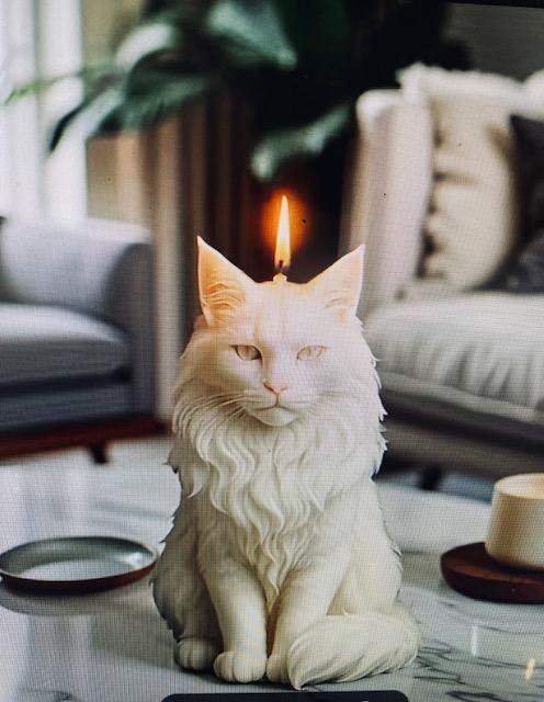 🐾 Workshop: Maak je Hond of Kat in een Kaars 🕯️ - Foto
