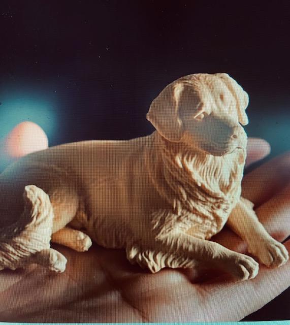 🐾 Workshop: Maak je Hond of Kat in een Kaars 🕯️ - Foto