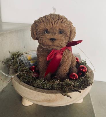 🐾 Workshop: Maak je Hond of Kat in een Kaars 🕯️