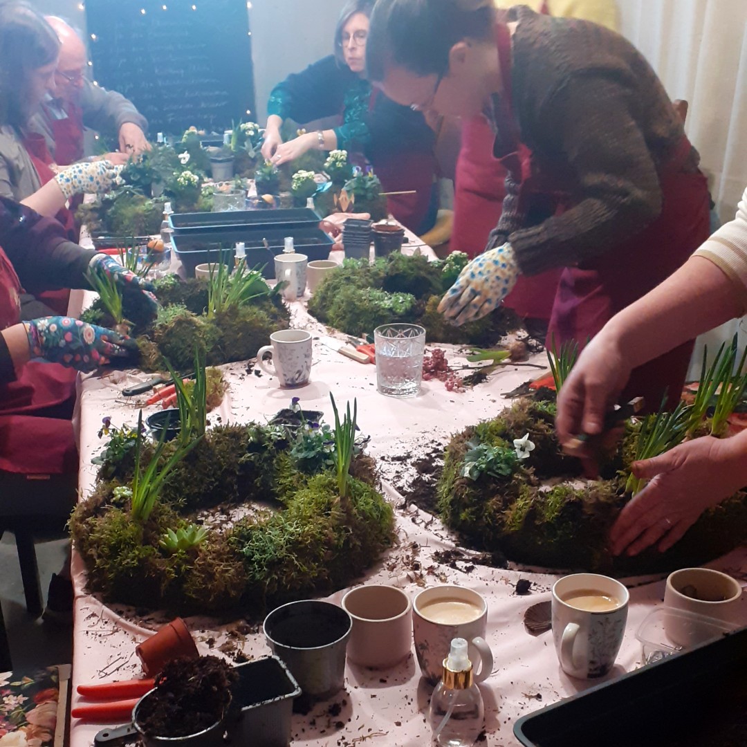 Workshop Levende krans maken met (vet)plantjes
