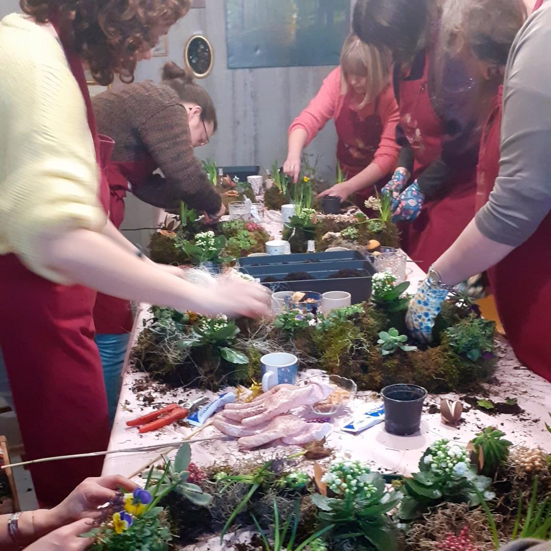 Workshop Levende krans maken met (vet)plantjes - Foto