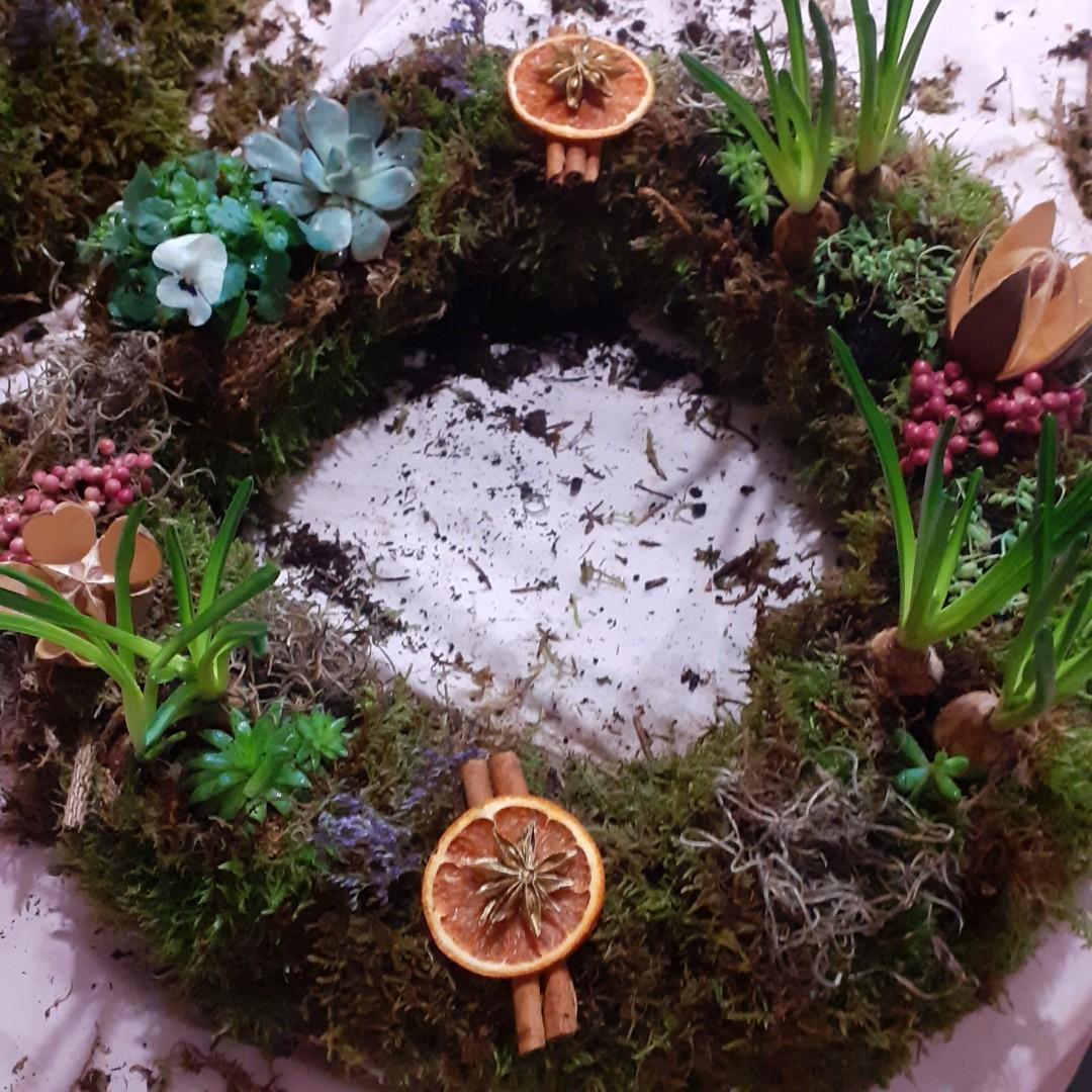 Workshop Levende krans maken met (vet)plantjes - Foto