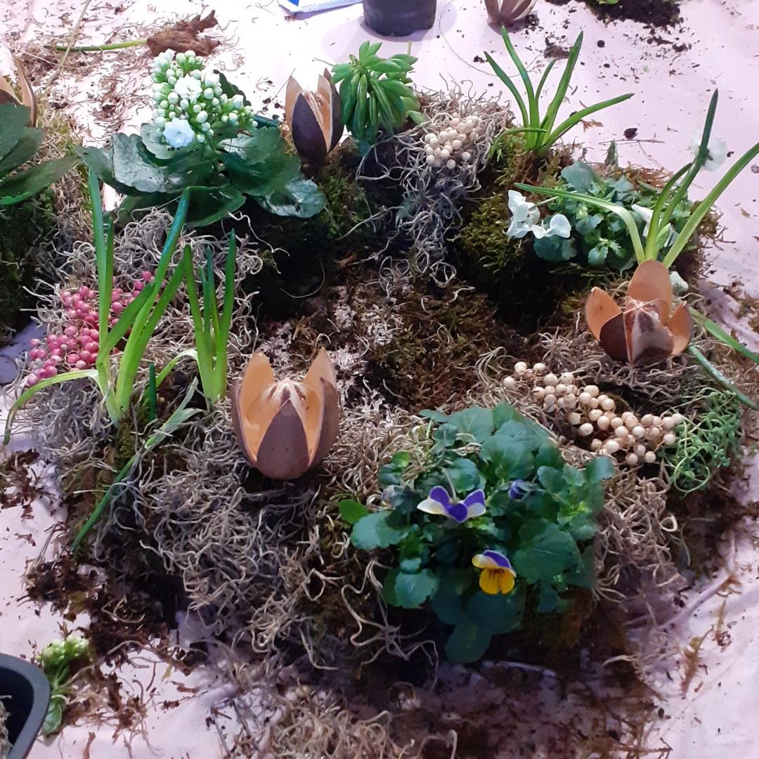 Workshop Levende krans maken met (vet)plantjes - Foto