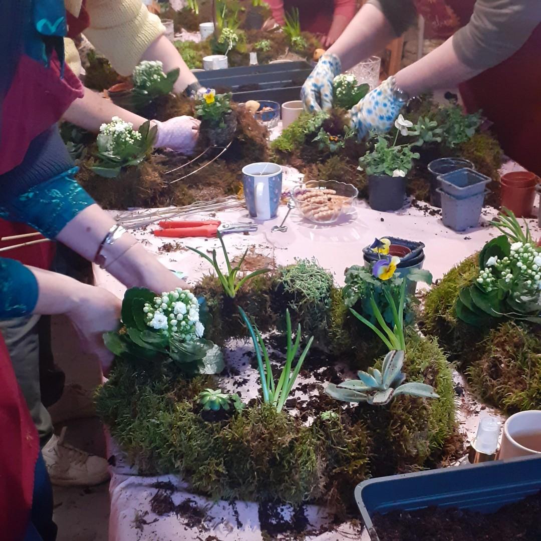 Workshop Levende krans maken met (vet)plantjes - Foto