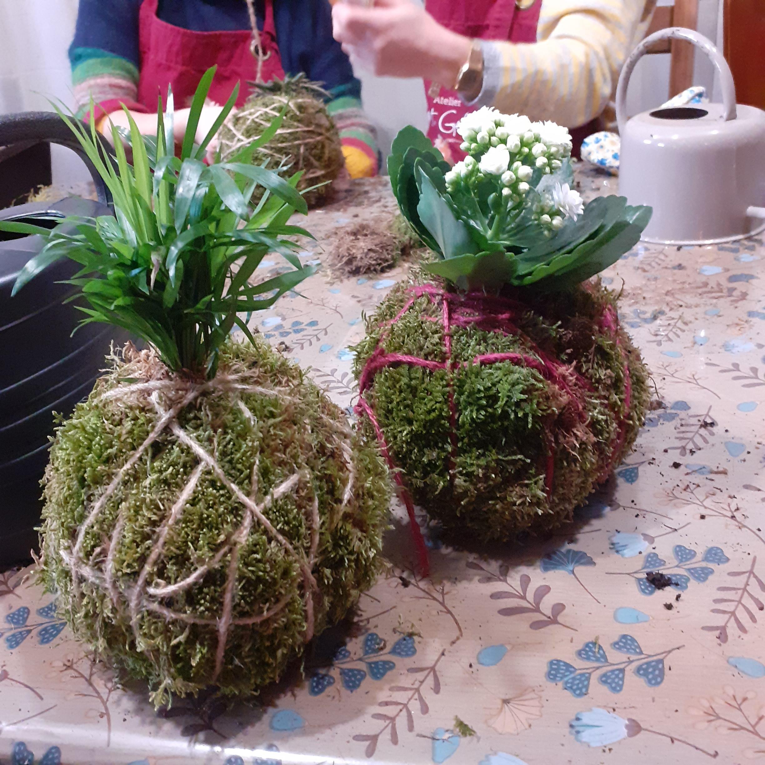 Privé workshop Kokedama maken - Foto