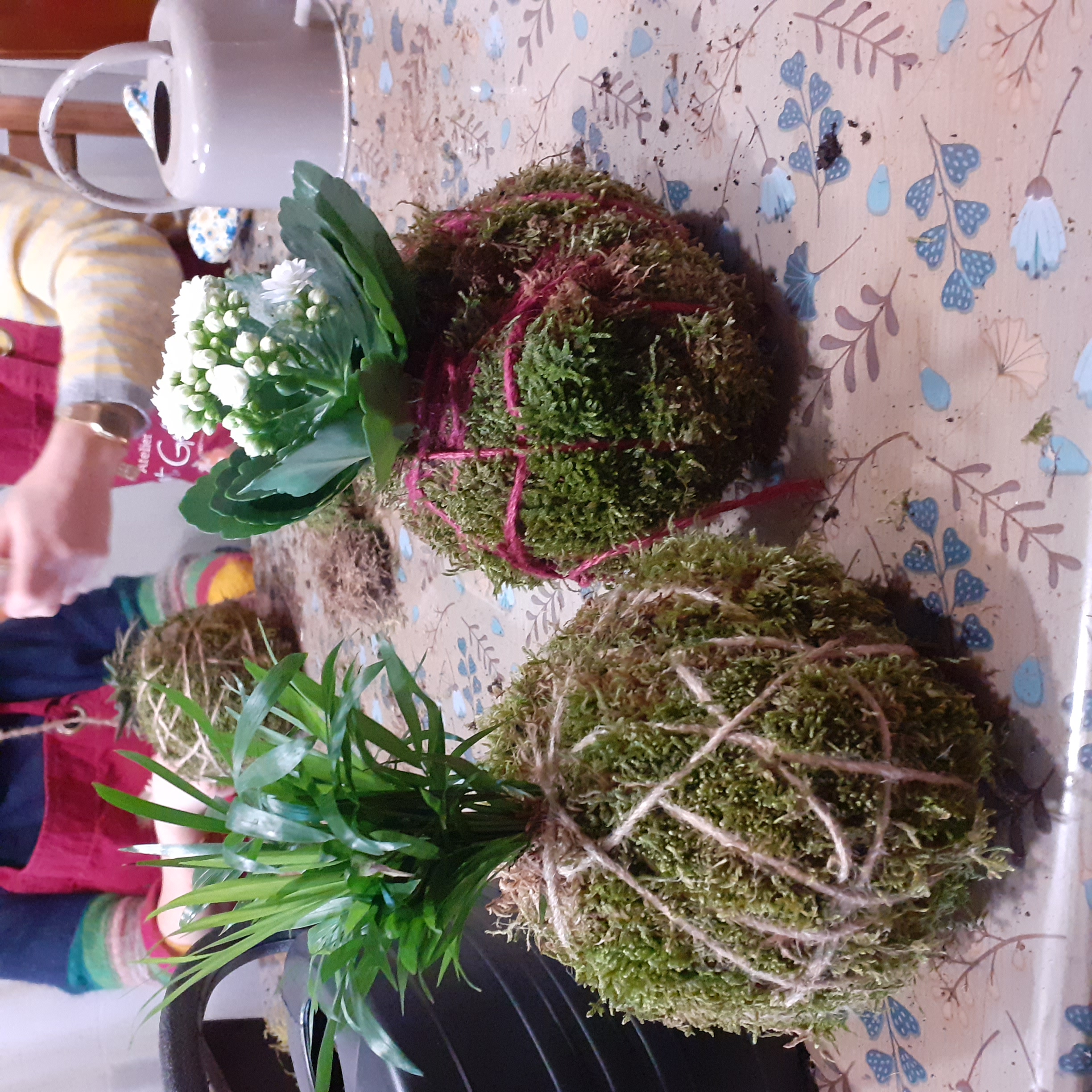 Privé workshop Kokedama maken