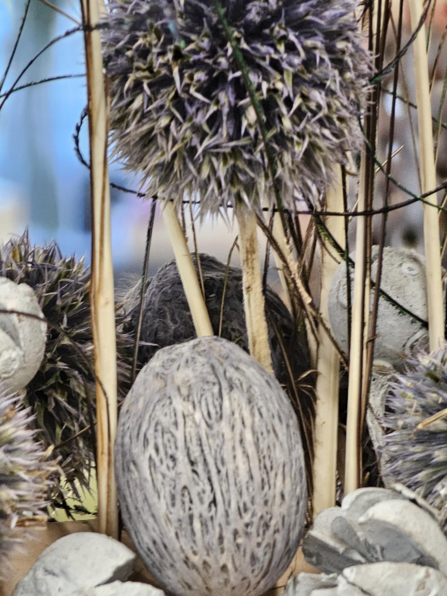 Tussen "Aarde en Lucht" - Foto