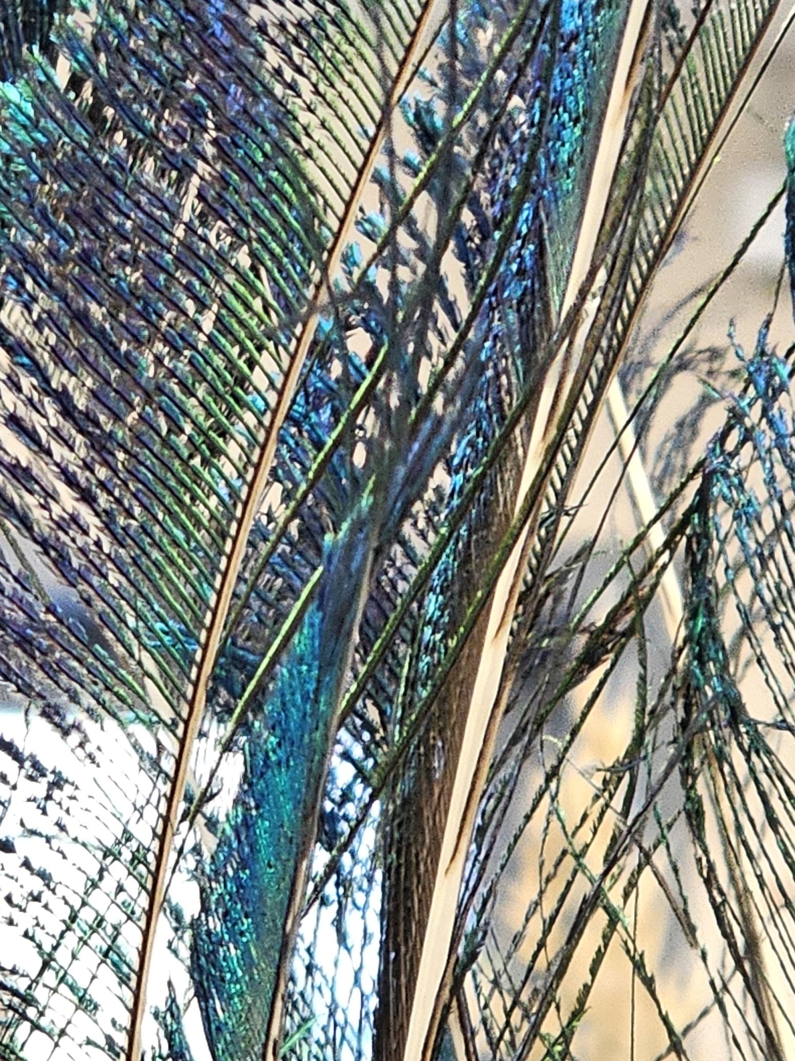 Tussen "Aarde en Lucht" - Foto