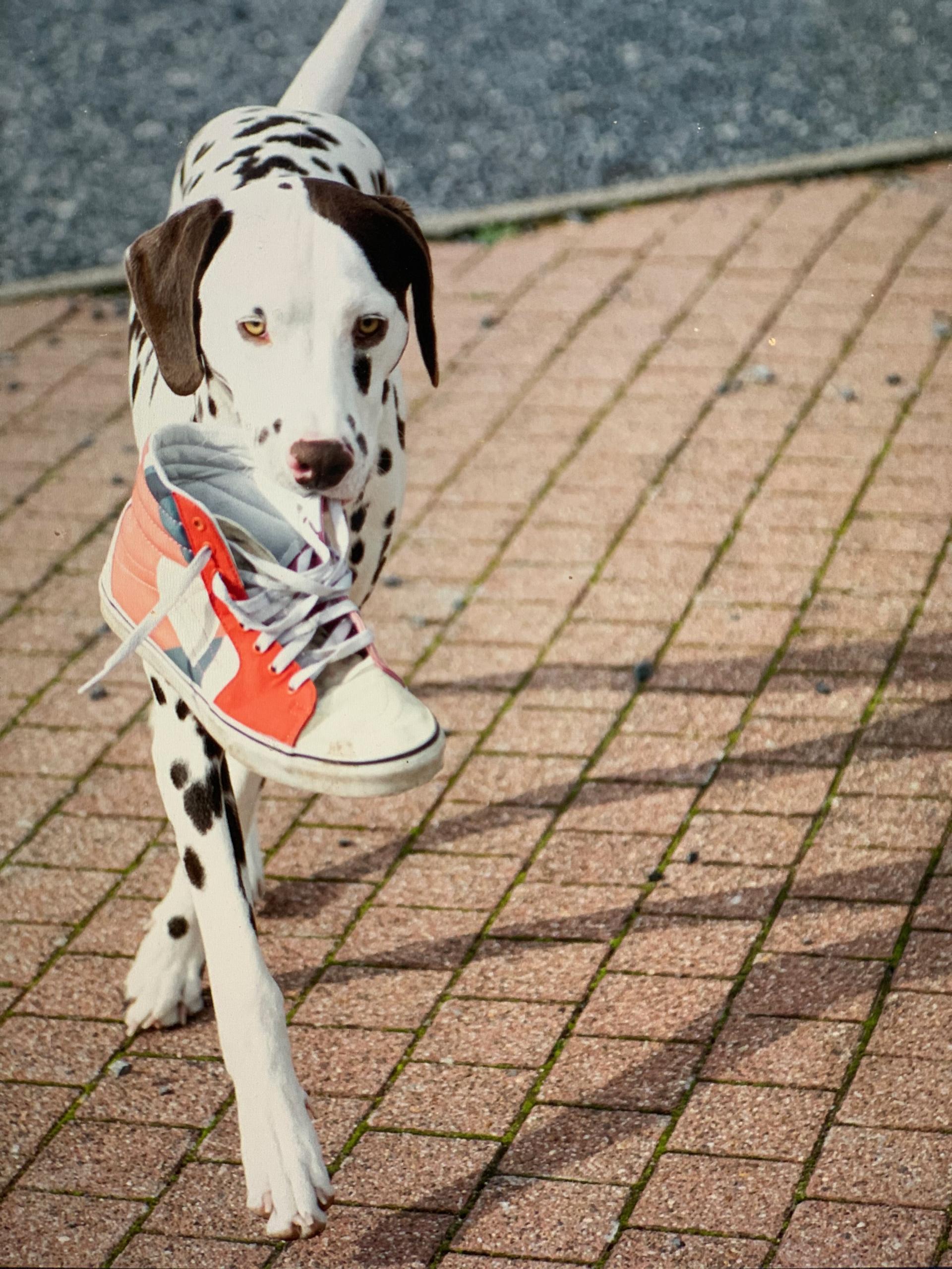 Acryl: Pimp your sneakers: ouder-kind juni - Foto