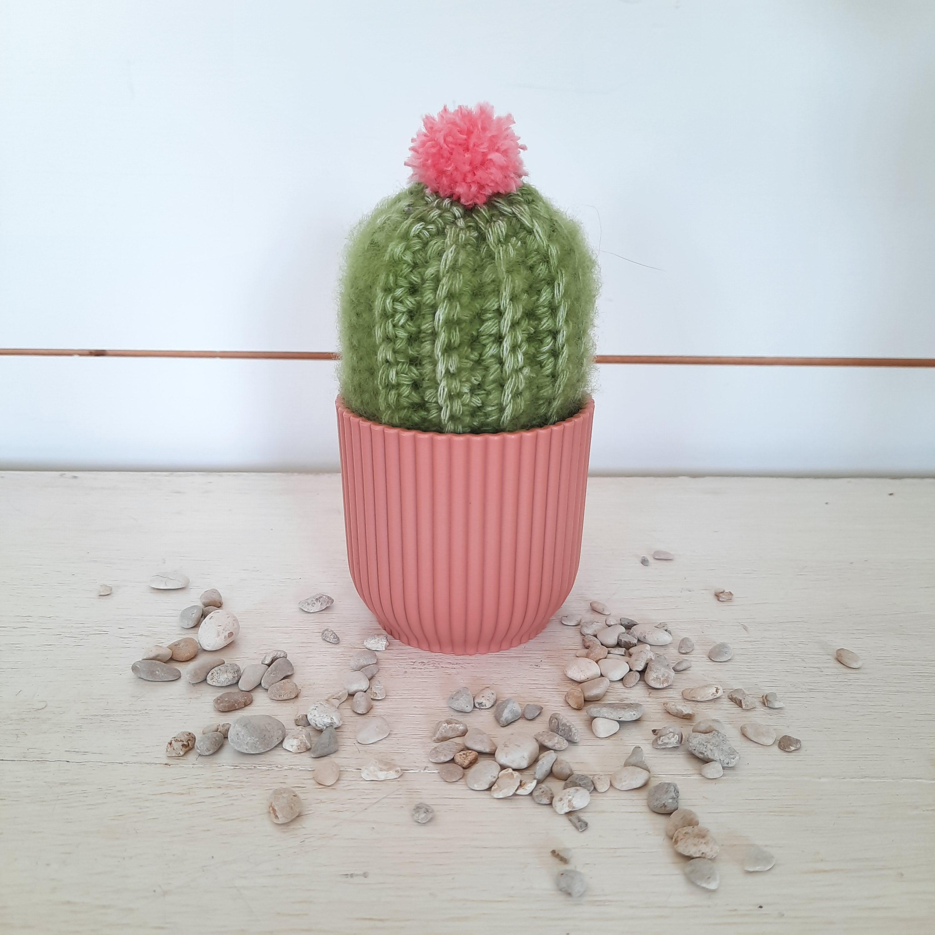 cactus haken voor kinderen vanaf 9 jaar - Foto