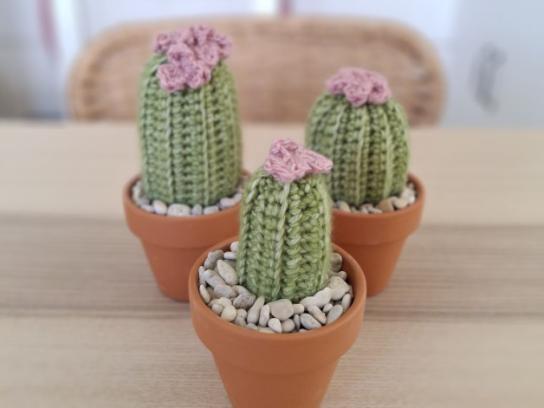 cactus haken voor kinderen vanaf 9 jaar