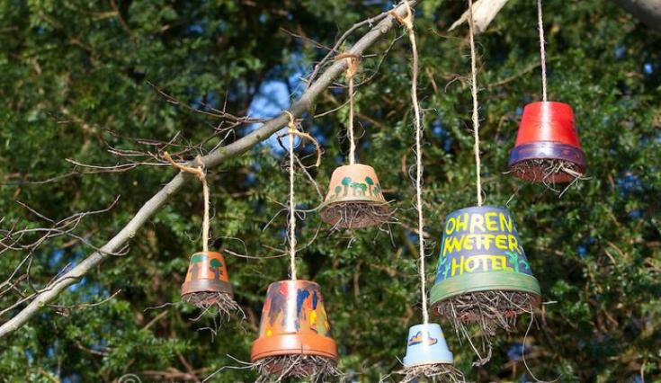 Mini Natuurproject – Creëer je eigen huisje voor nuttige insecten 🐝 - Foto