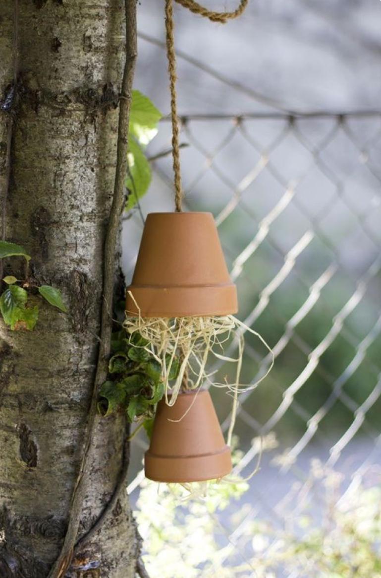 Mini Natuurproject – Creëer je eigen huisje voor nuttige insecten 🐝 - Foto