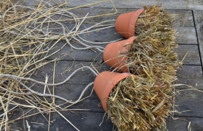 Mini Natuurproject – Creëer je eigen huisje voor nuttige insecten 🐝 - Foto