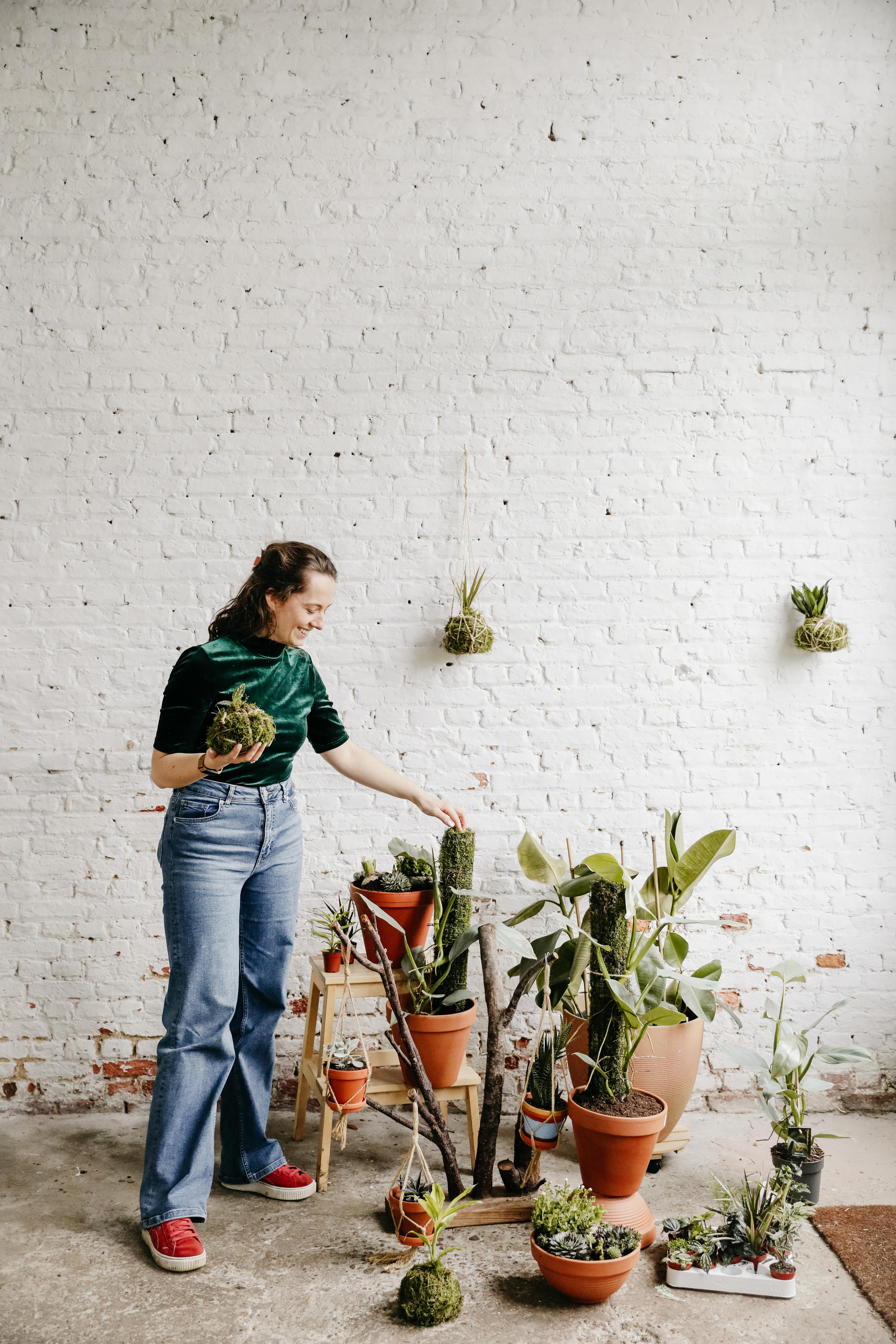 Vlinder Spa – Creëer een mini badje voor vlinders & bijen 🦋 - Foto