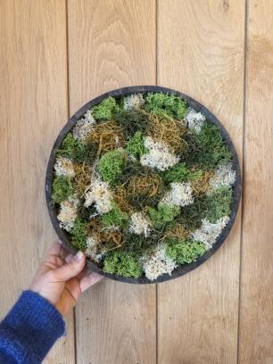 DIY mosschilderij workshop Antwerpen