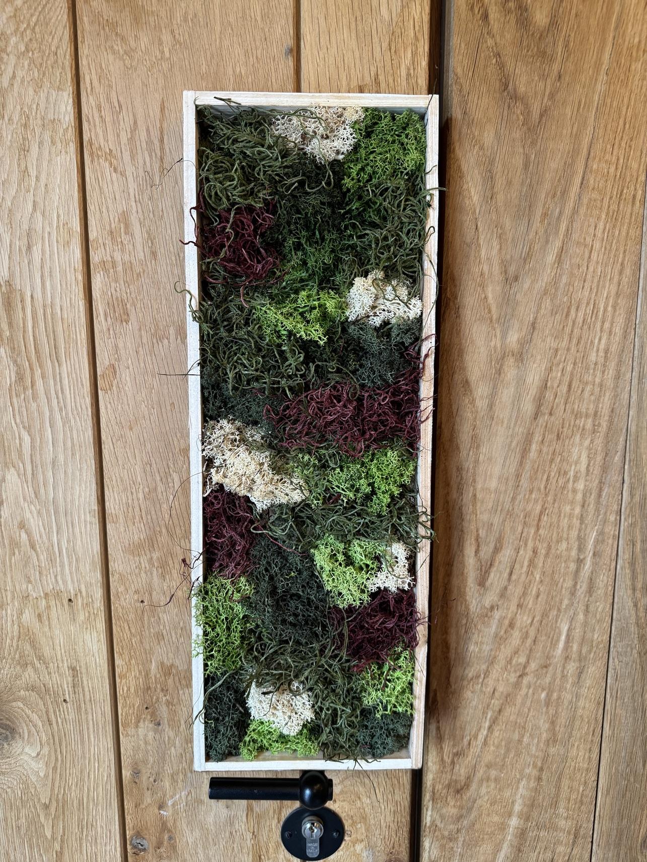 Mosschilderij workshop @WOLF Antwerpen - Foto