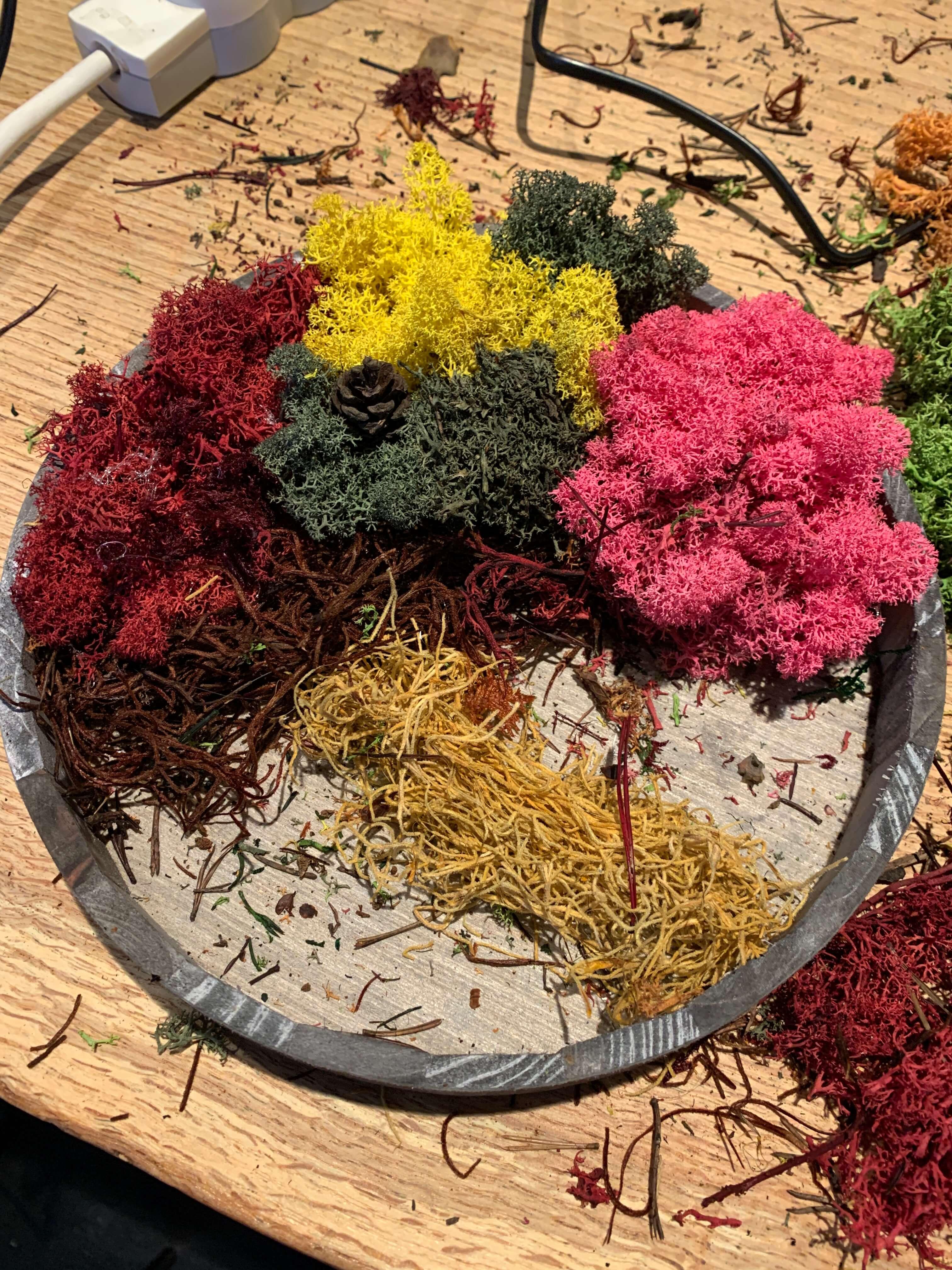 Mosschilderij workshop @WOLF Antwerpen - Foto