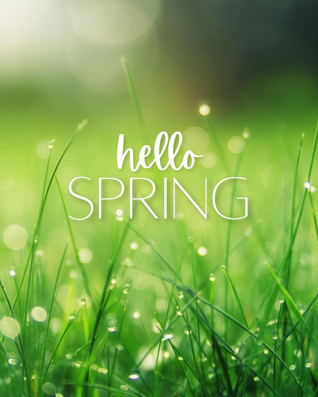 Yoga en de Lente Equinox - Foto