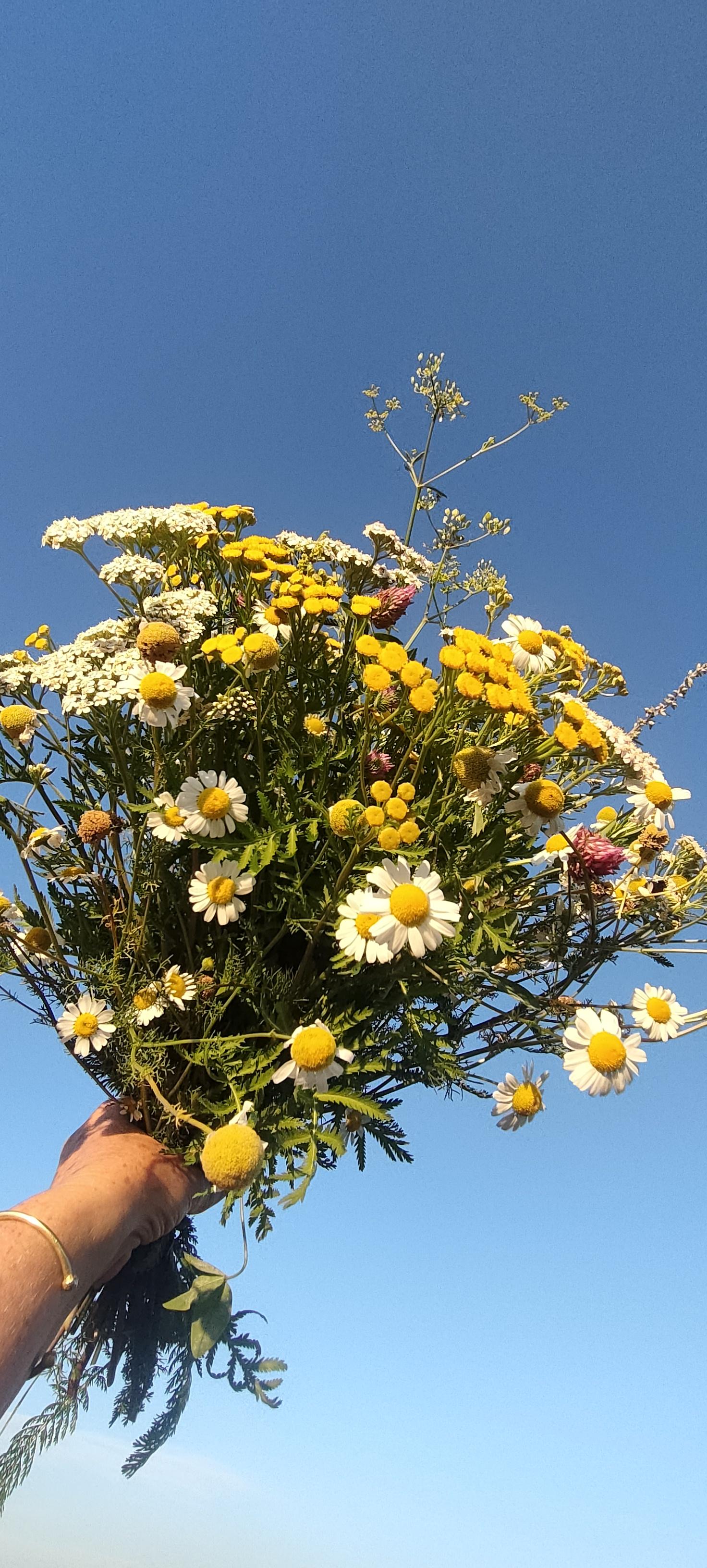 Duo-workshop 'botanische tegels maken' - Foto