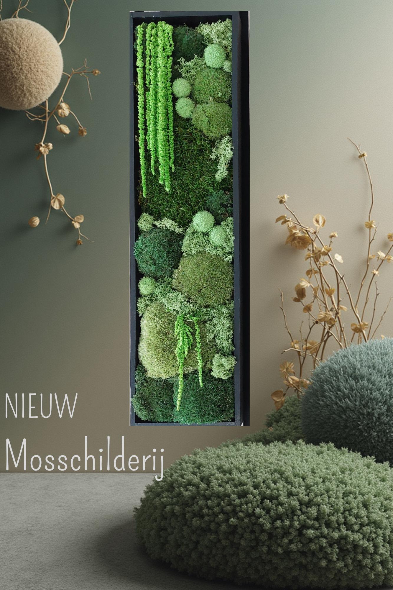 Workshop Powertex 'mosschilderij' - Foto