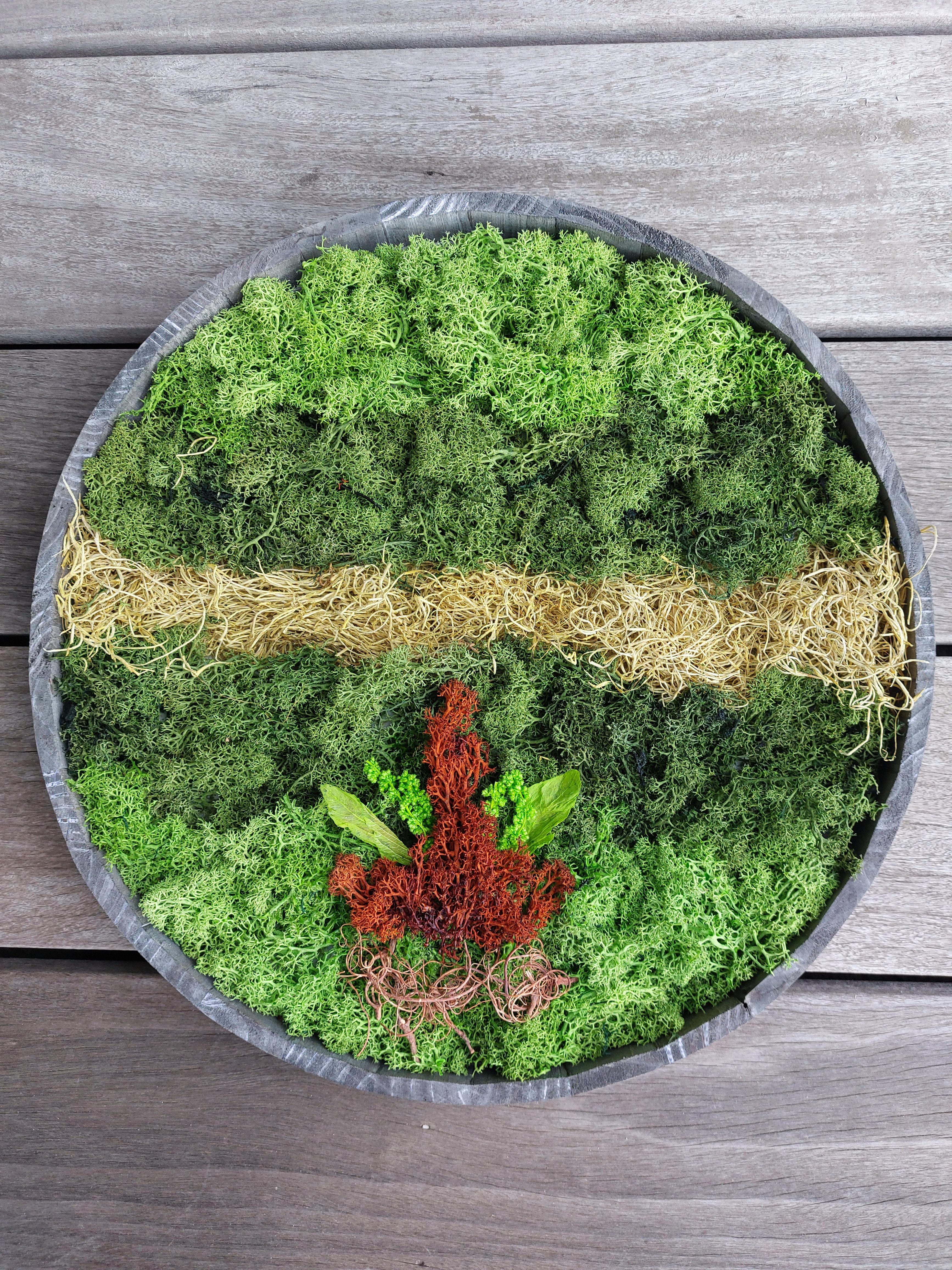 Workshop Powertex 'mosschilderij' - Foto