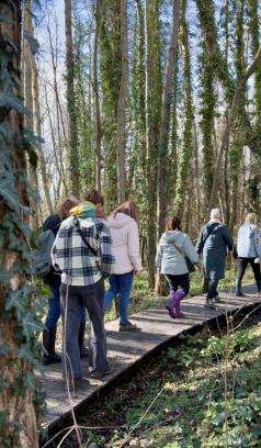 🌱Wildpluk Workshop DIY Voorjaarsvitaliteit