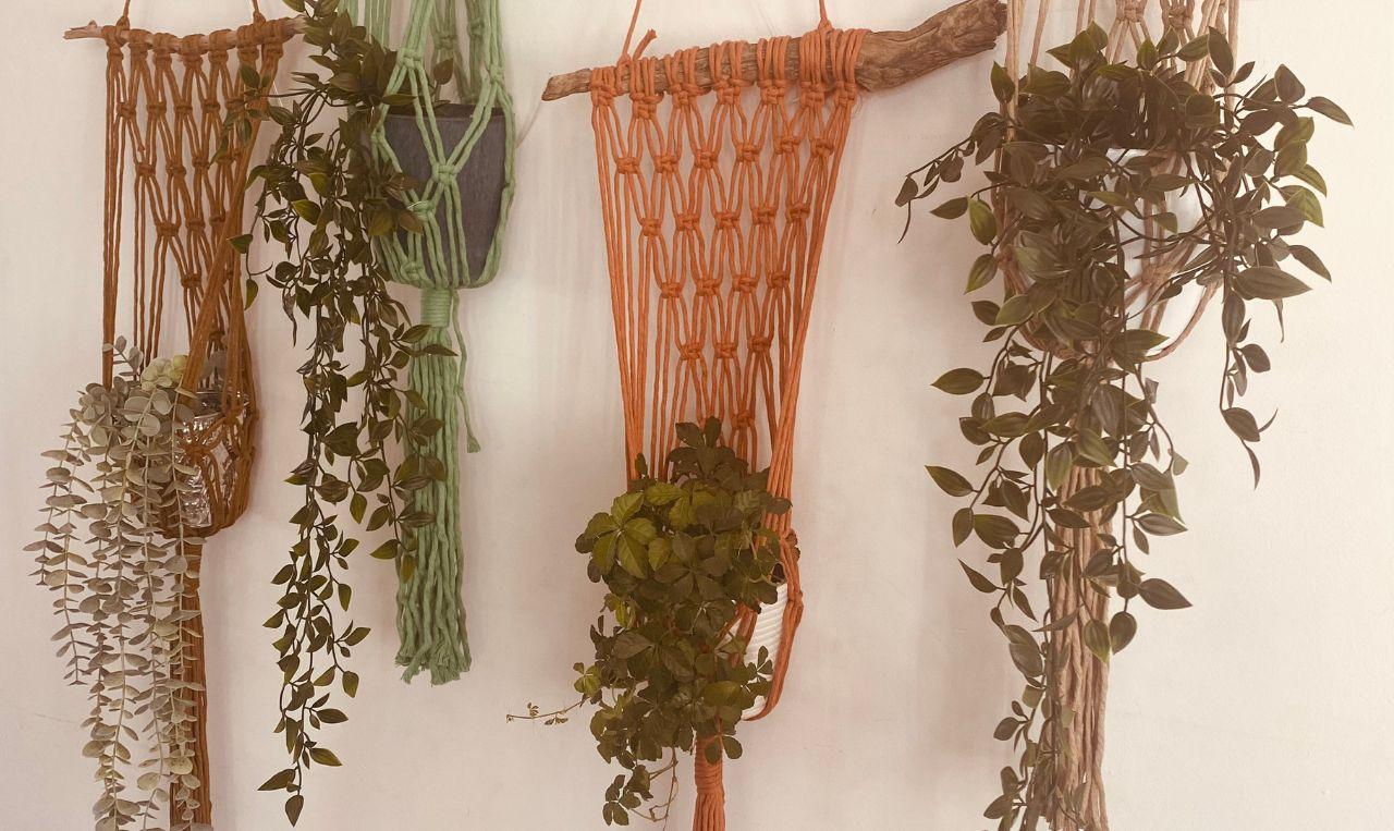 Workshop Macramé plantenhanger - Foto