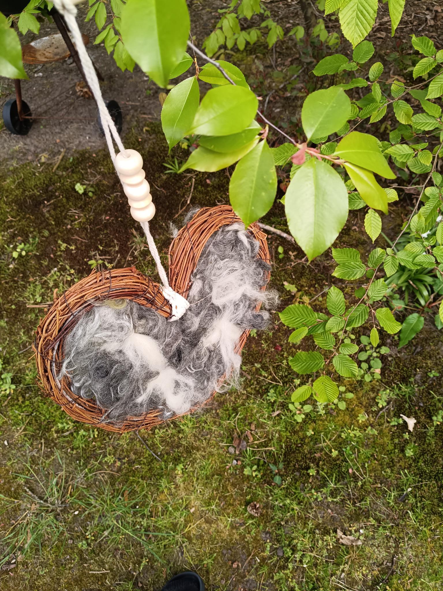 Een hart voor vogels - DIY kit - Foto