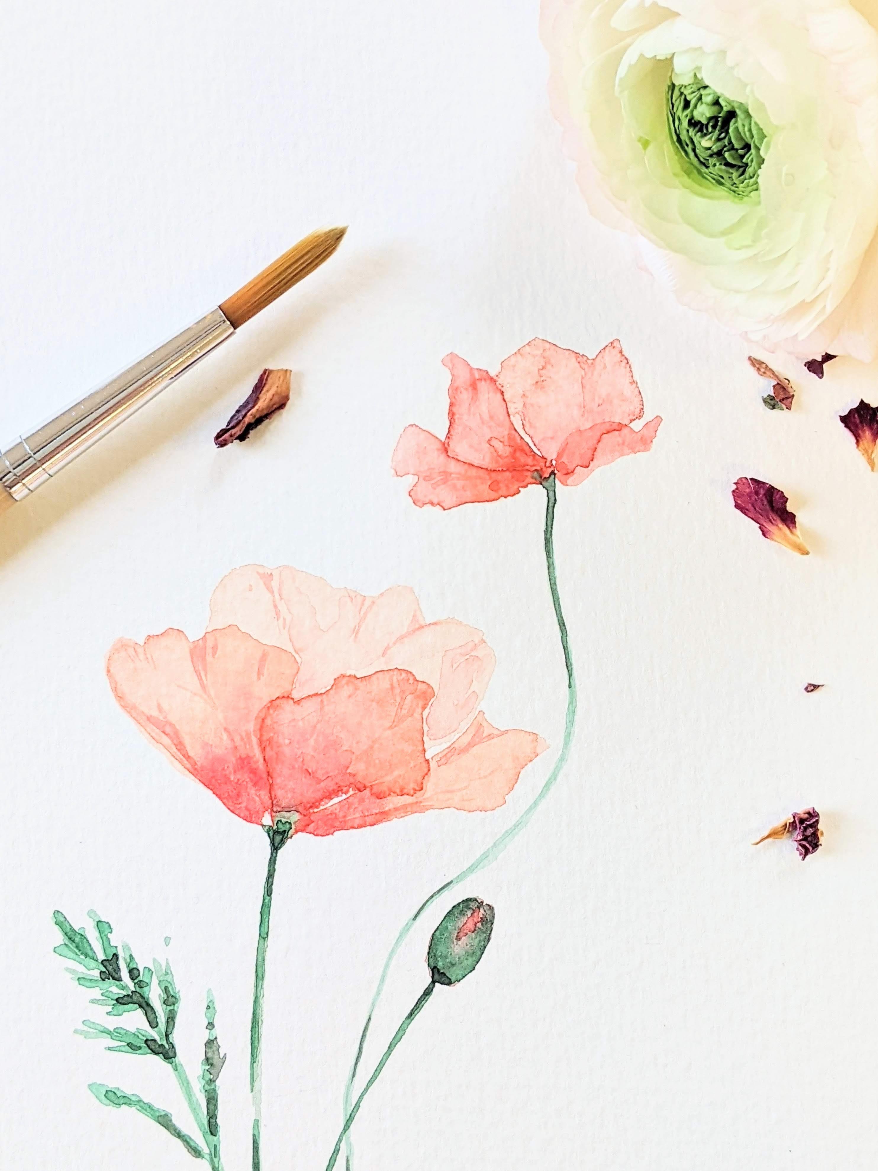 Workshop Aquarel 'Klaprozen & Margrietjes' - Foto