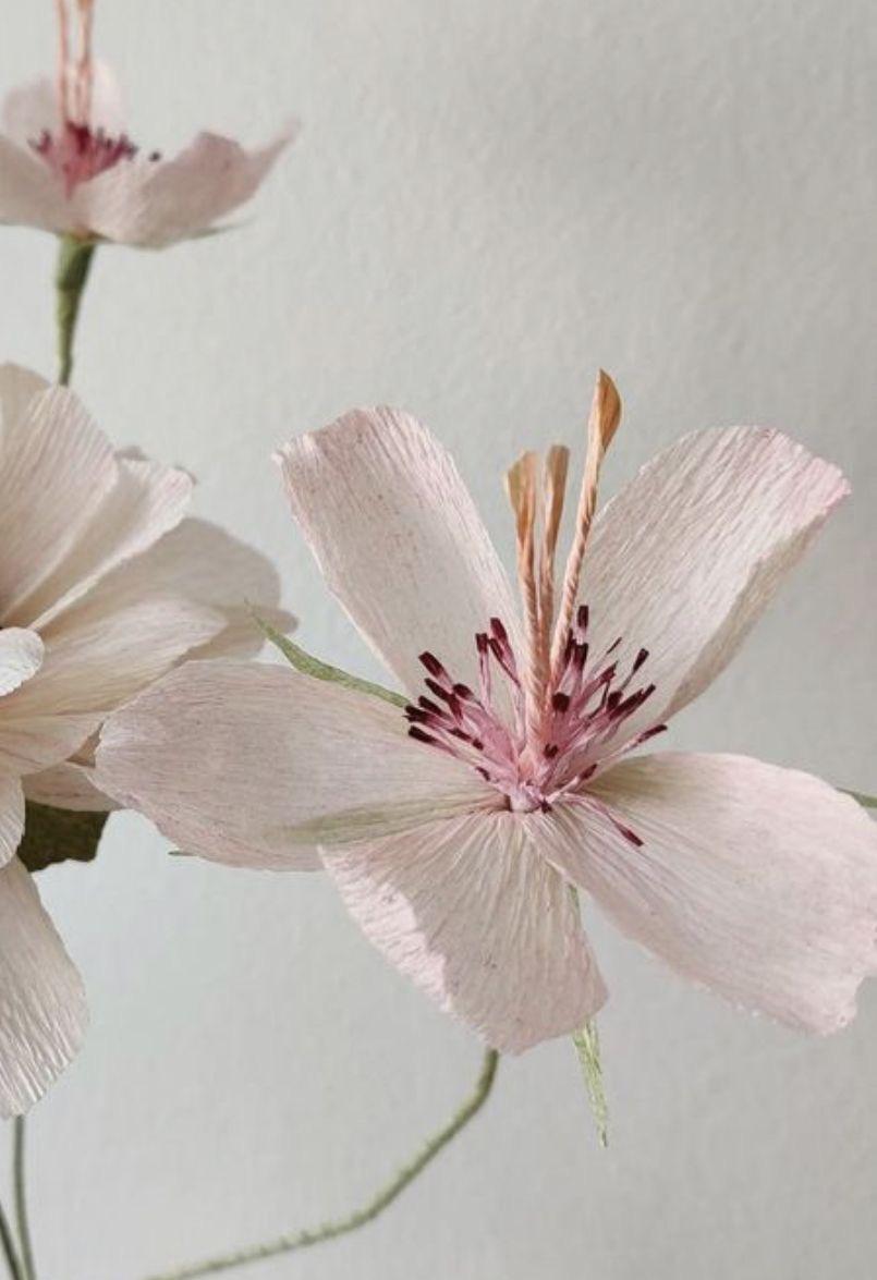 Crèpe papieren bloemen workshop - Foto