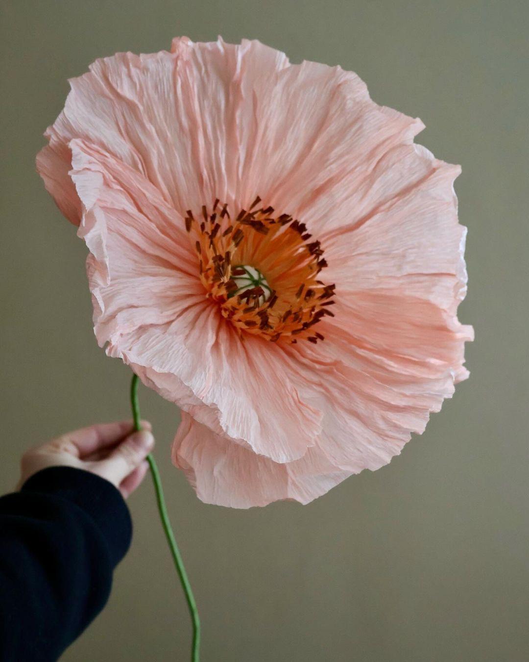 Ontbijt & bloemenkunst: maak een reusachtige crêpebloem workshop - Foto